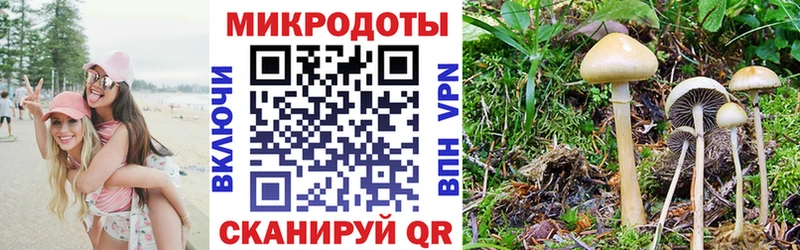 Псилоцибиновые грибы GOLDEN TEACHER  Судогда 