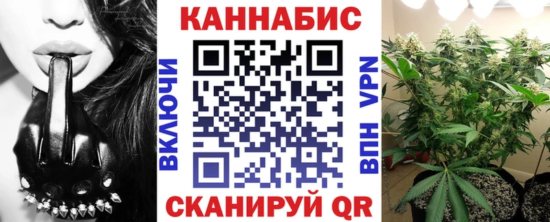 как найти   Судогда  Канабис конопля 